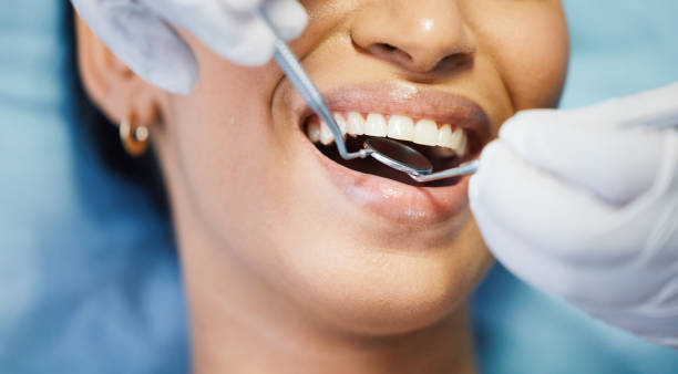 Best Emergency X-Rays and Diagnostics in North Lewisburg, OH