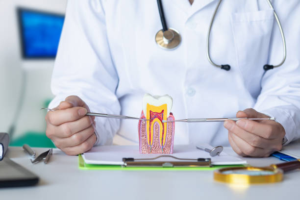 Best Dental Abscess Treatment in North Lewisburg, OH